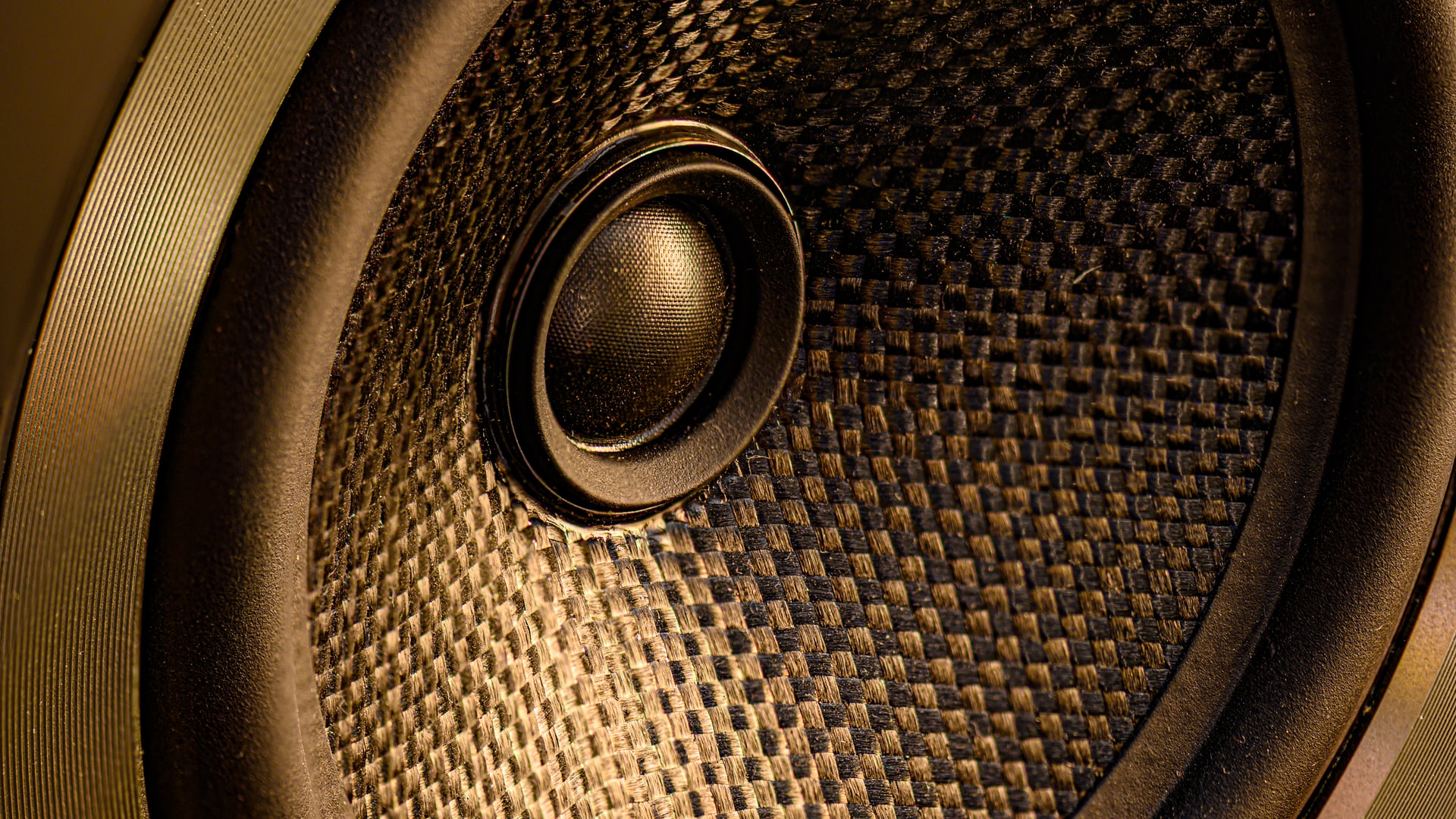 speaker cone